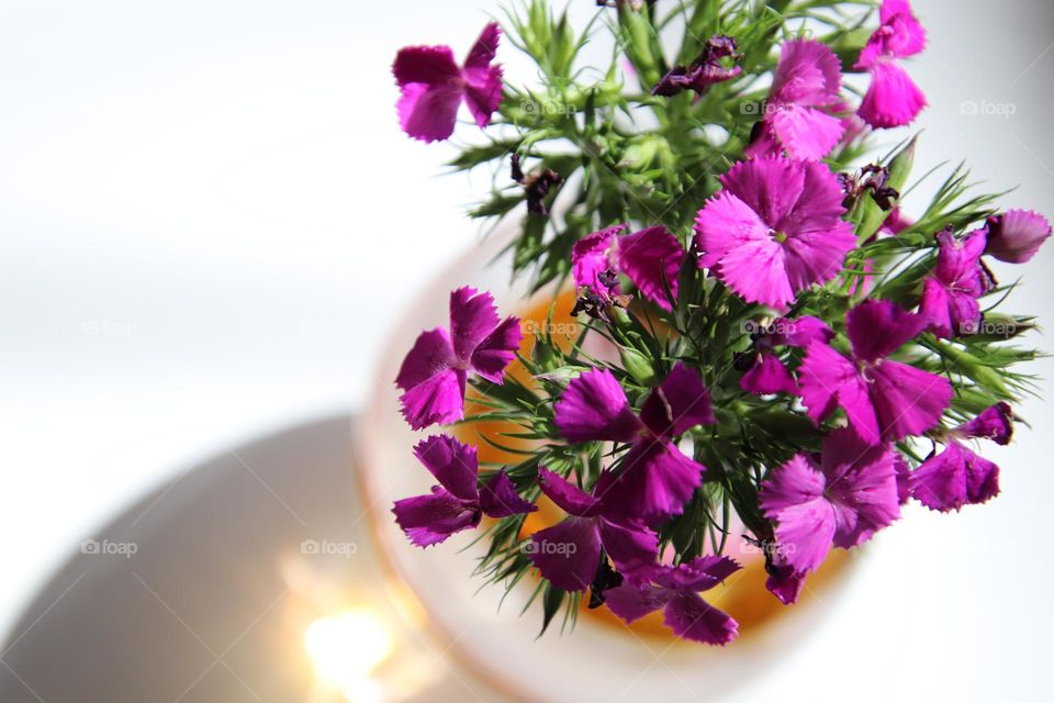 Beautiful purple wild flowers in white, pink, purple and brown vase with sun shining through