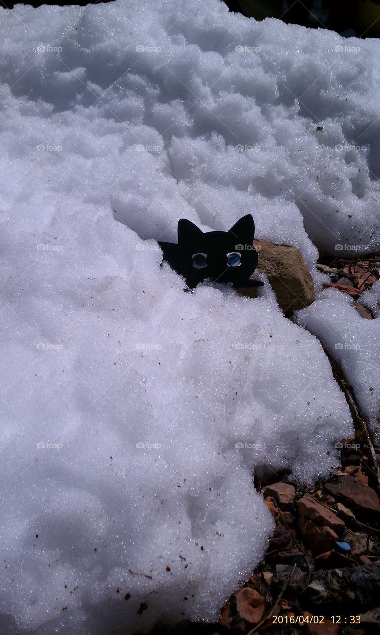Cat silhouette in snow