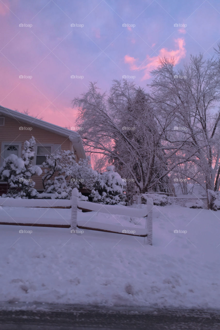 Pink sunset glow illuminates a snowcovered landscape and winter wonderland after a snowstorm in New England 