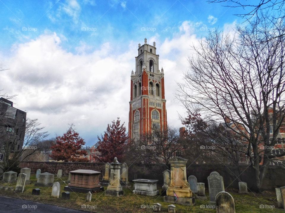 Grove Street Cemetery 