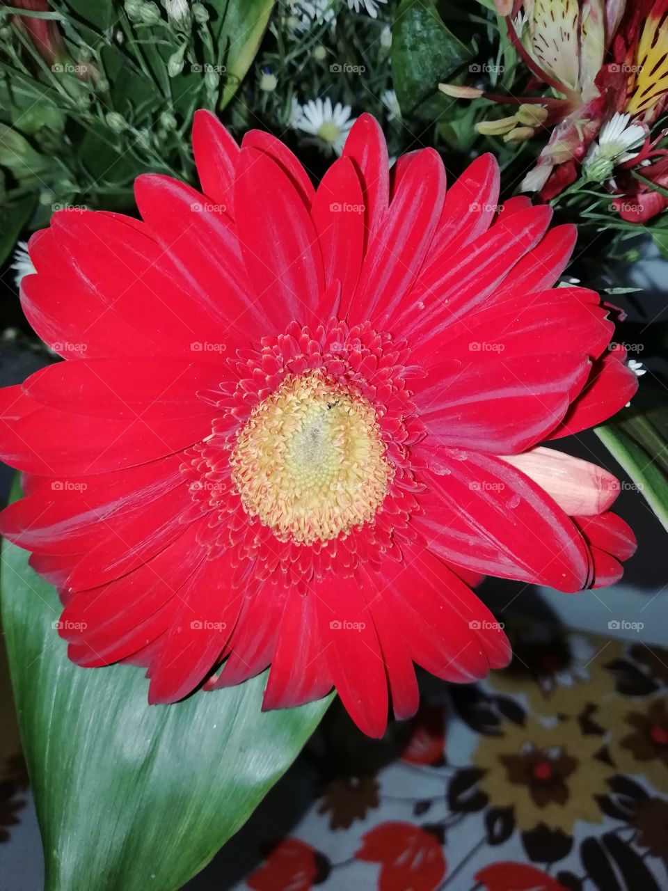 Flowers from a bouquet. Prettyness all-over