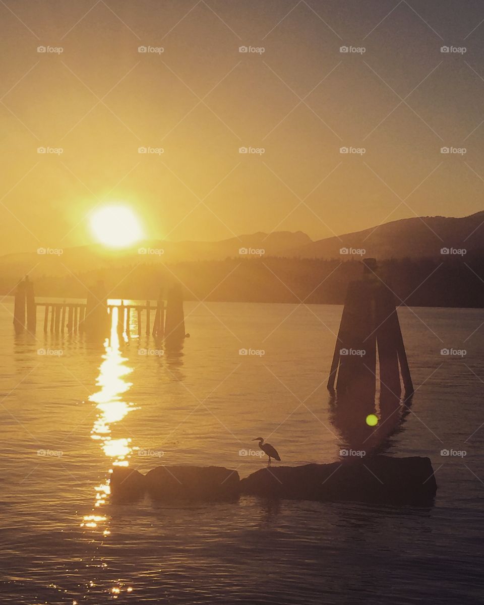 Sunset with Heron at Barnet Marine Park, BC, Canada