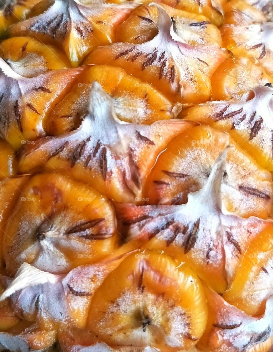 Color pineapple skin.