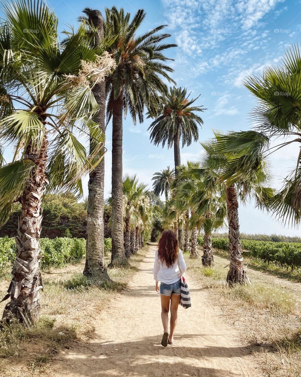 Woman wearing summer clothes, walking to the beach on a path with palm trees and vineyards in the south of France