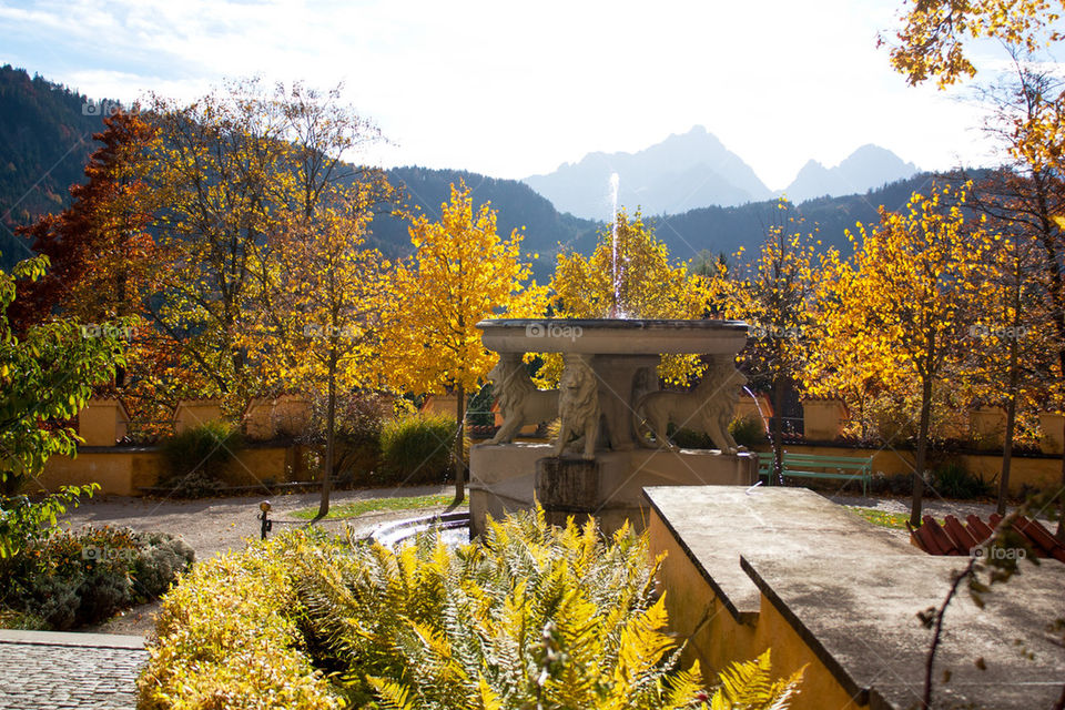 Hohenschwangau gardens