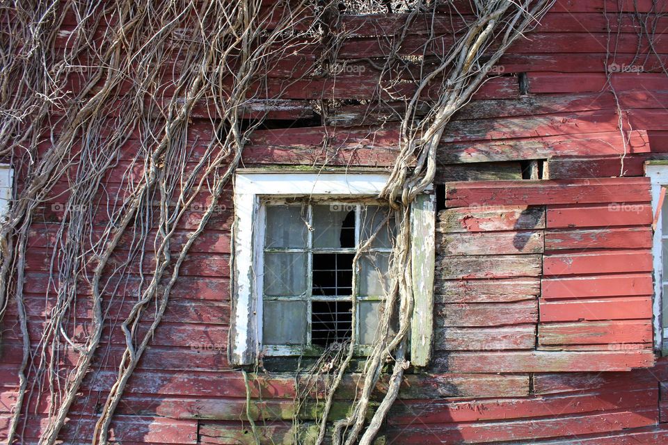 abandoned building reclaimed by nature
