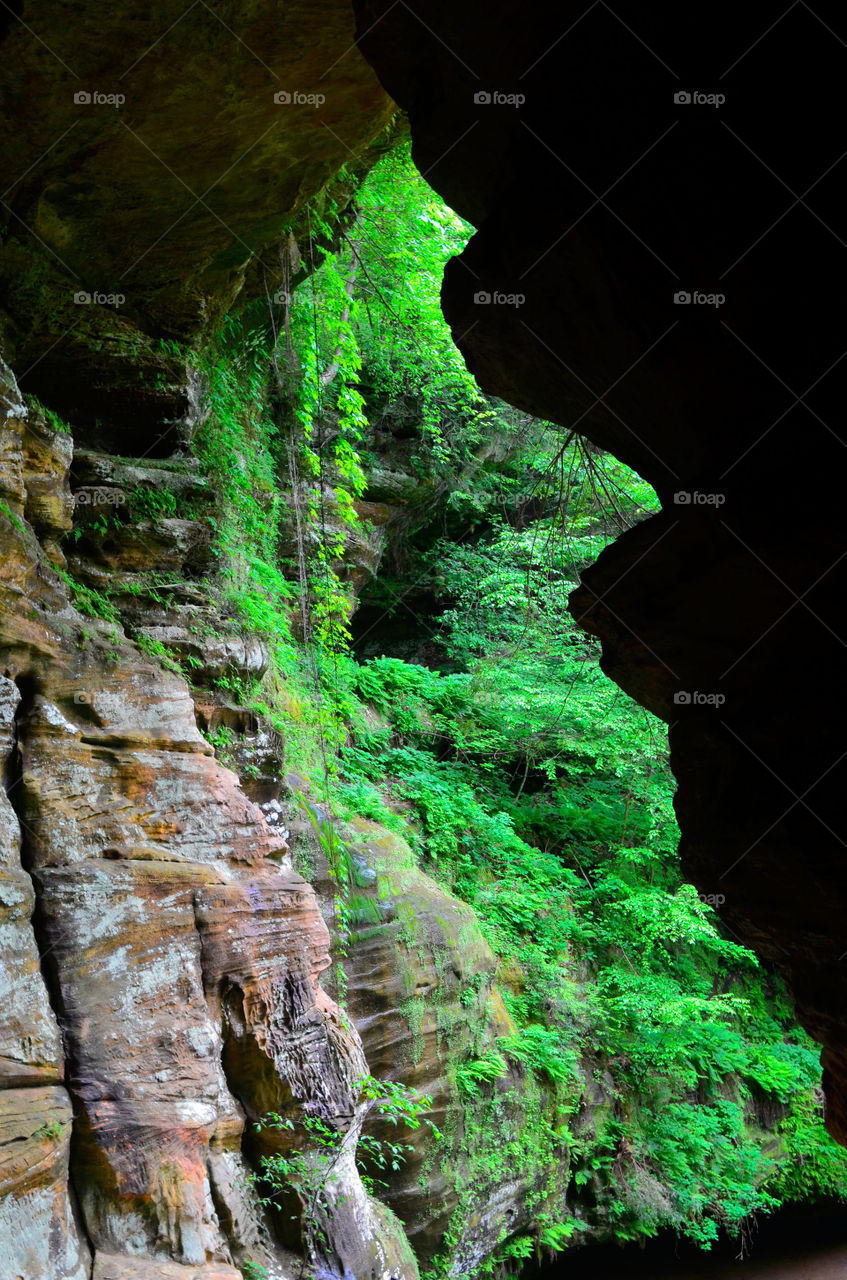 Hike at Hocking Hills (Series)