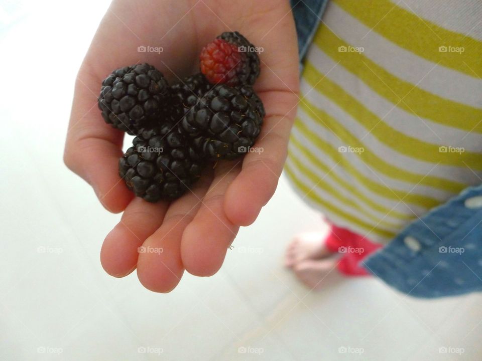 girl's hand holding blackberries