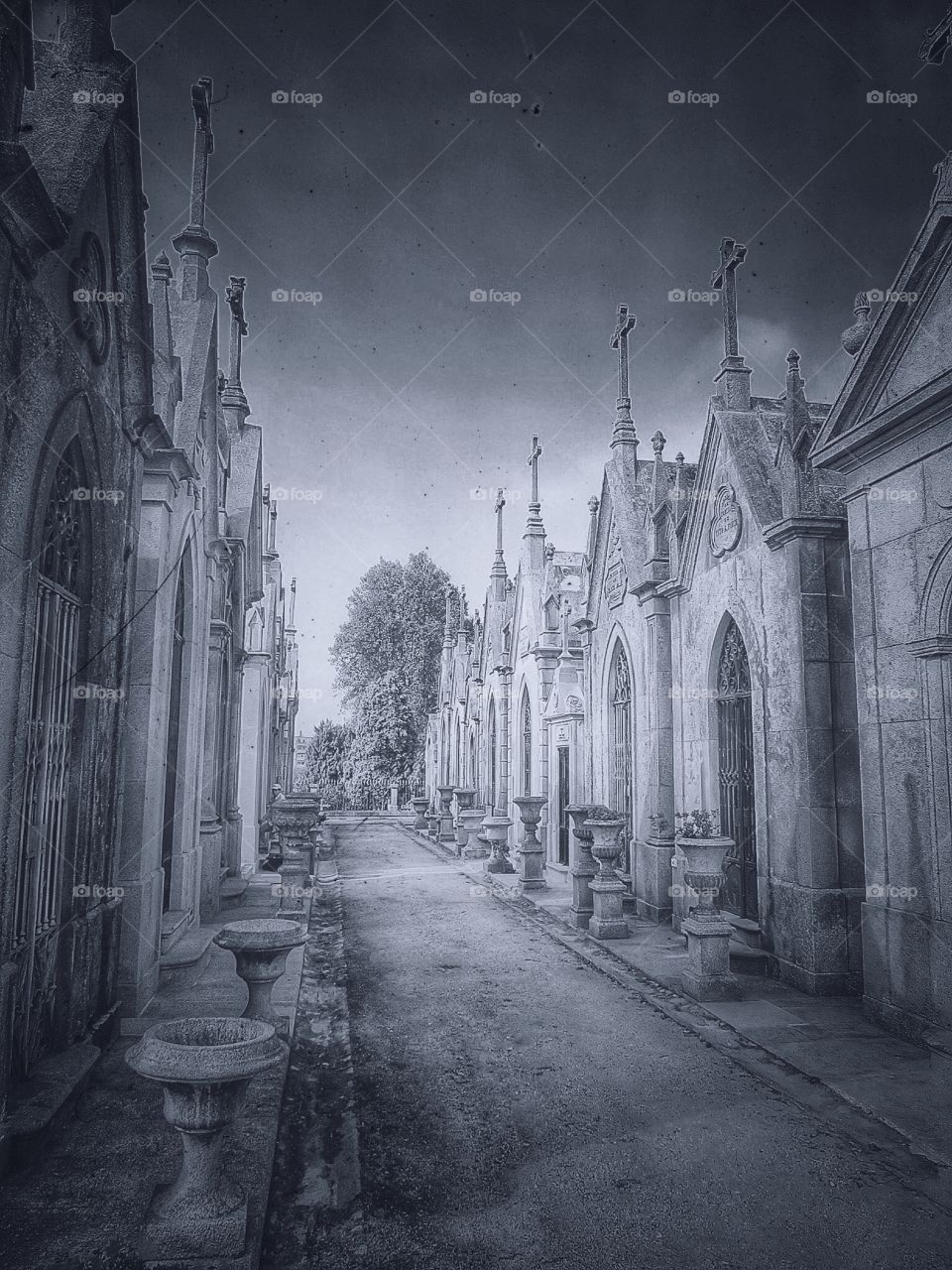 Agramonte cemetery Porto