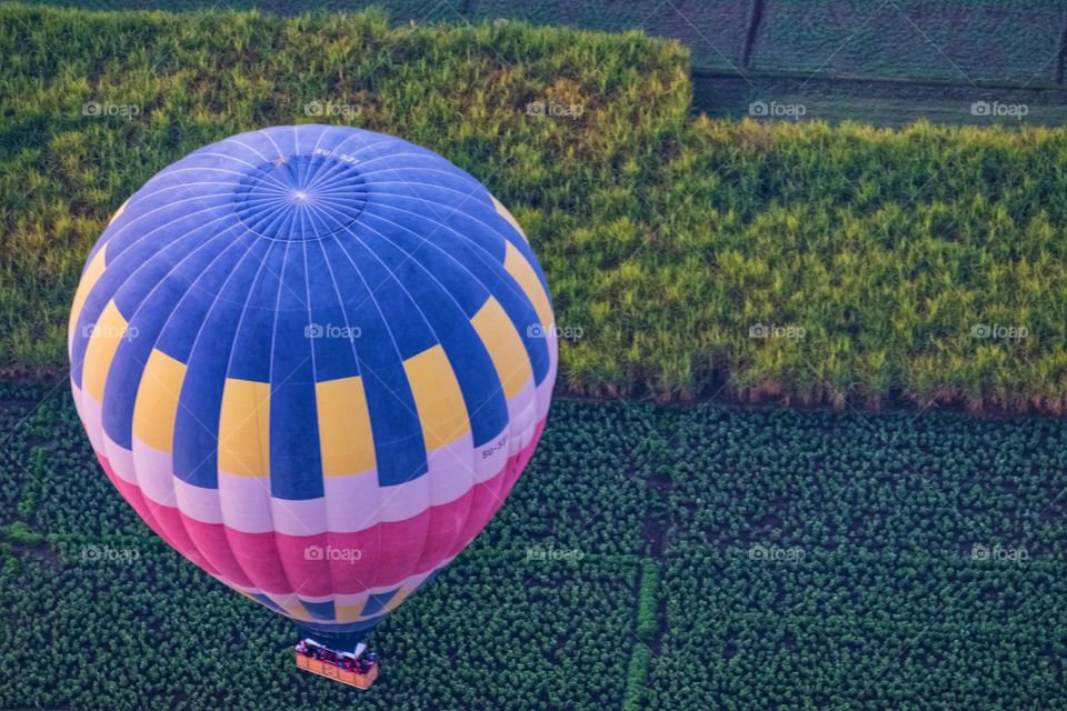 Balloon over plantation scene