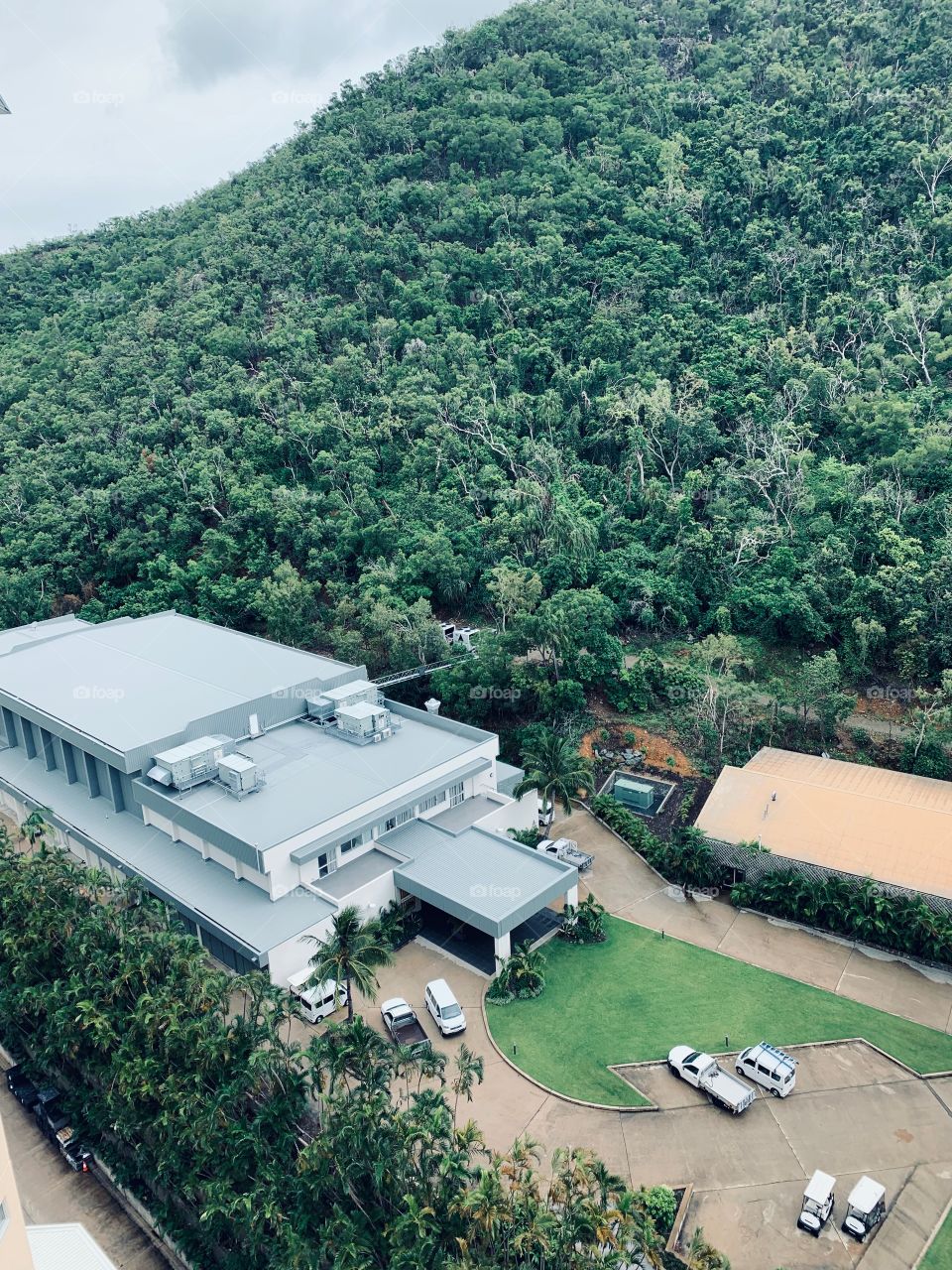 Trees trees trees! 🌳