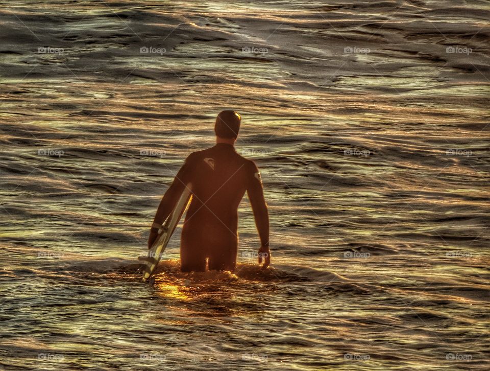 Surfing At Sunset. Surfer Entering The Water During The Golden Hour