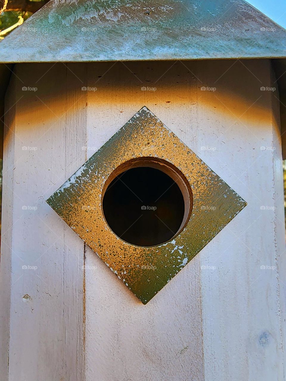 The round entrance to a bird house is a welcome sight to a pair of wild finches