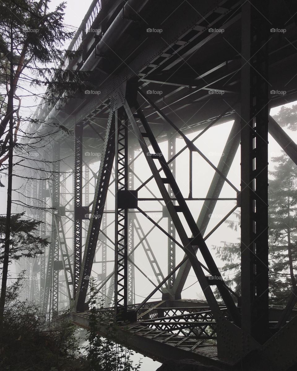 Foggy bridge view, architecture 