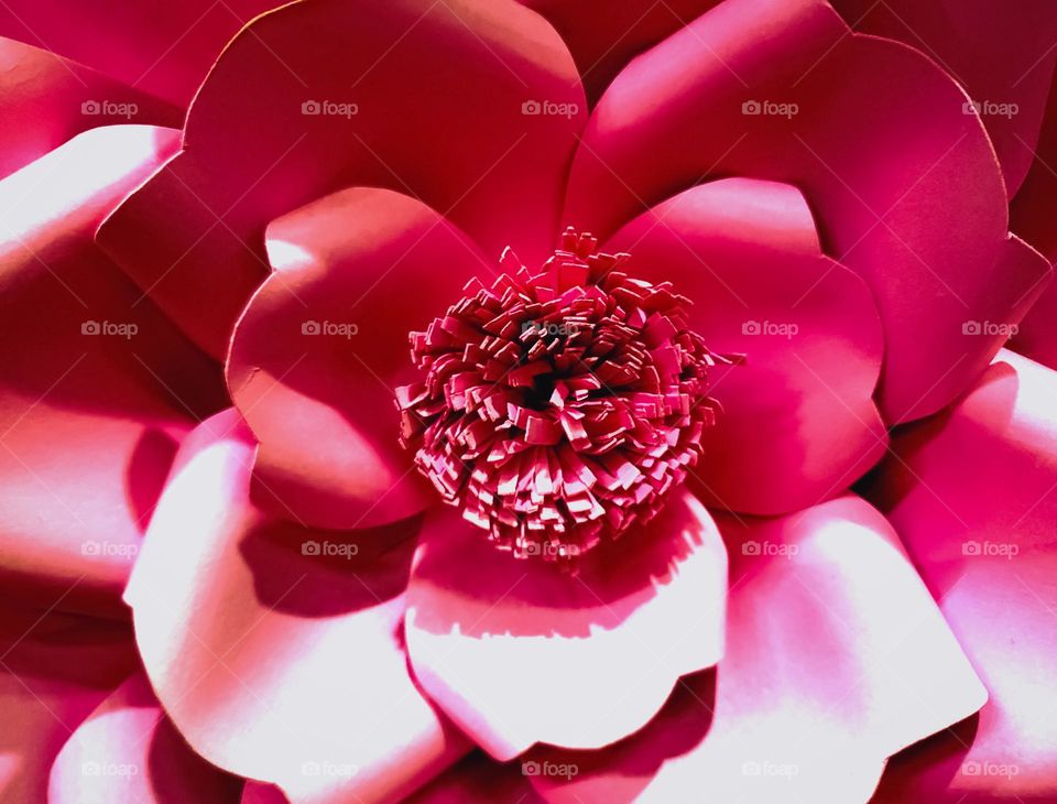 Viva magenta hues in a paper flower.