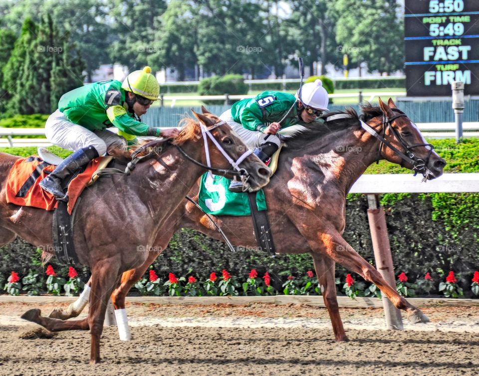 Ortiz brothers Battle it out. . The Ortiz brothers battle to the finish line at Belmont Park. Legal Lady on the outside goes on to win it. 
Fleetphoto
