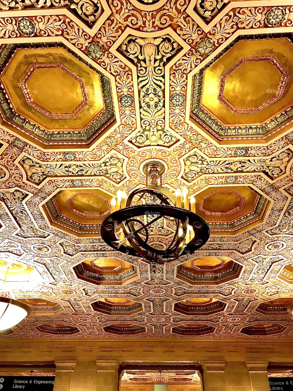 Decorative ceiling in Walter Library, University of Minnesota 