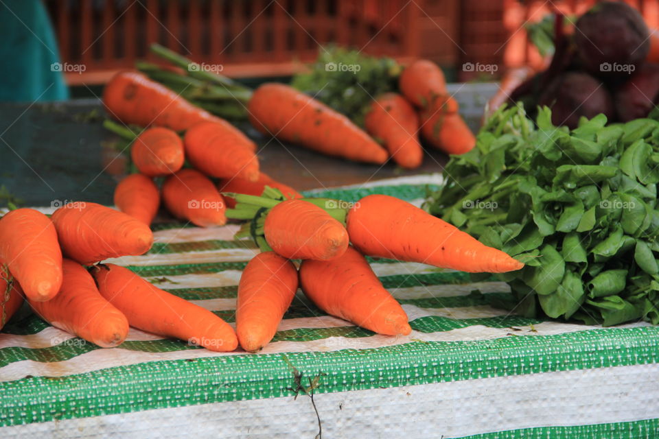 Close-up of raw carrot