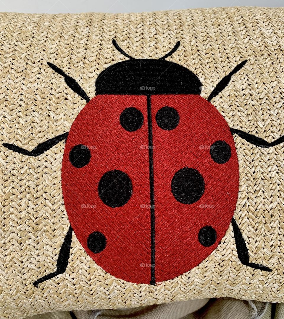 Ladybug