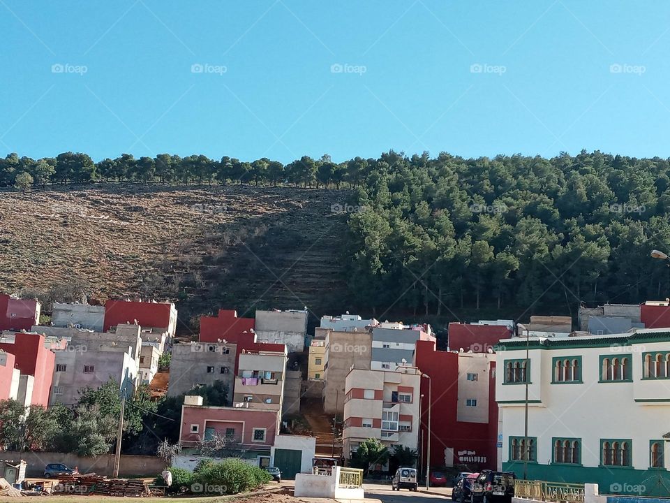 population between the nature