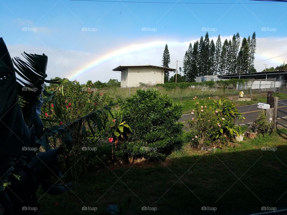 multiple rainbows in Maui💜