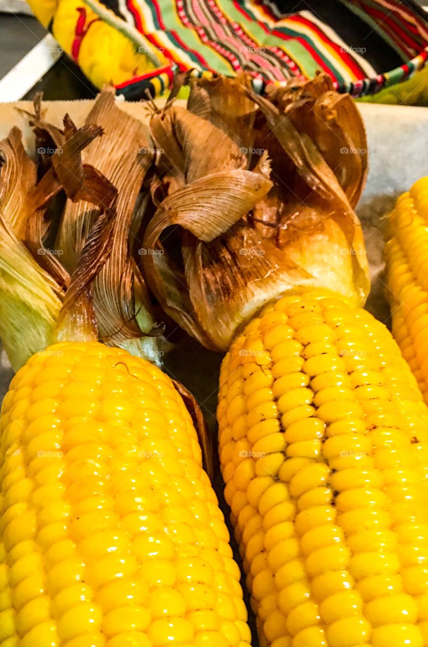 Close-up background view roasted corn on the cob corncobs buttery