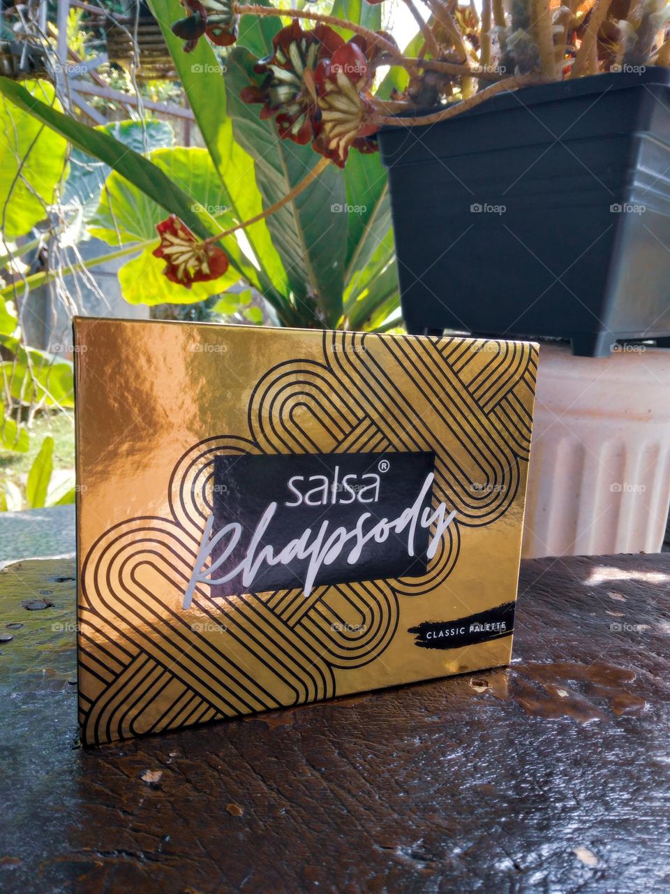 salsa rhapsody classic palette