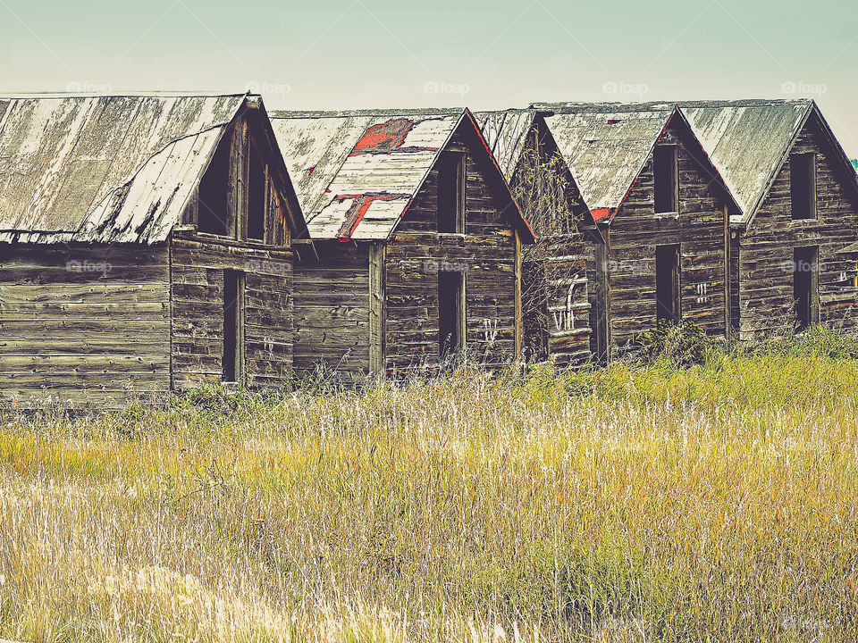 Old barns