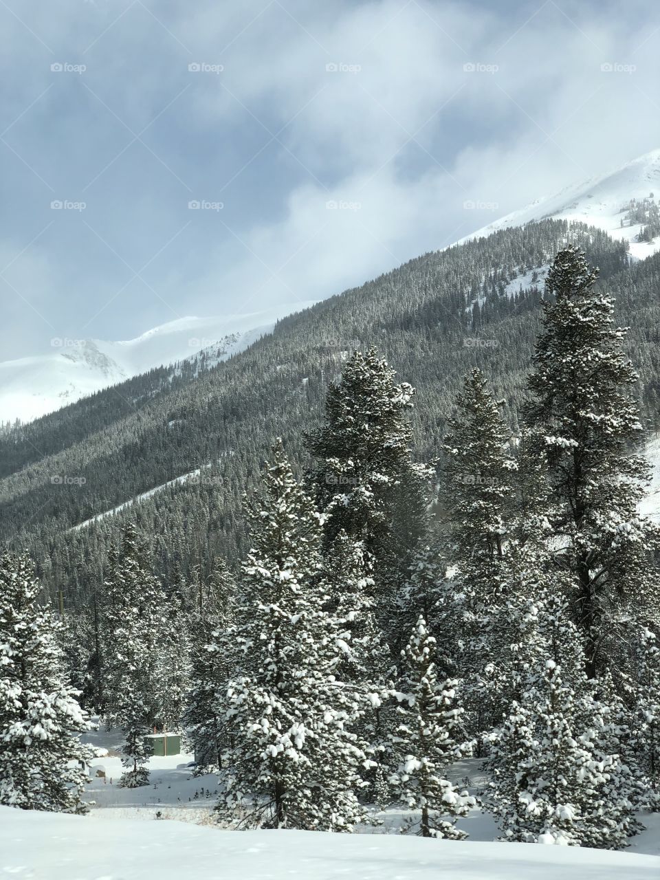 Winter in the mountains surrounded by a snow covered evergreen forest.