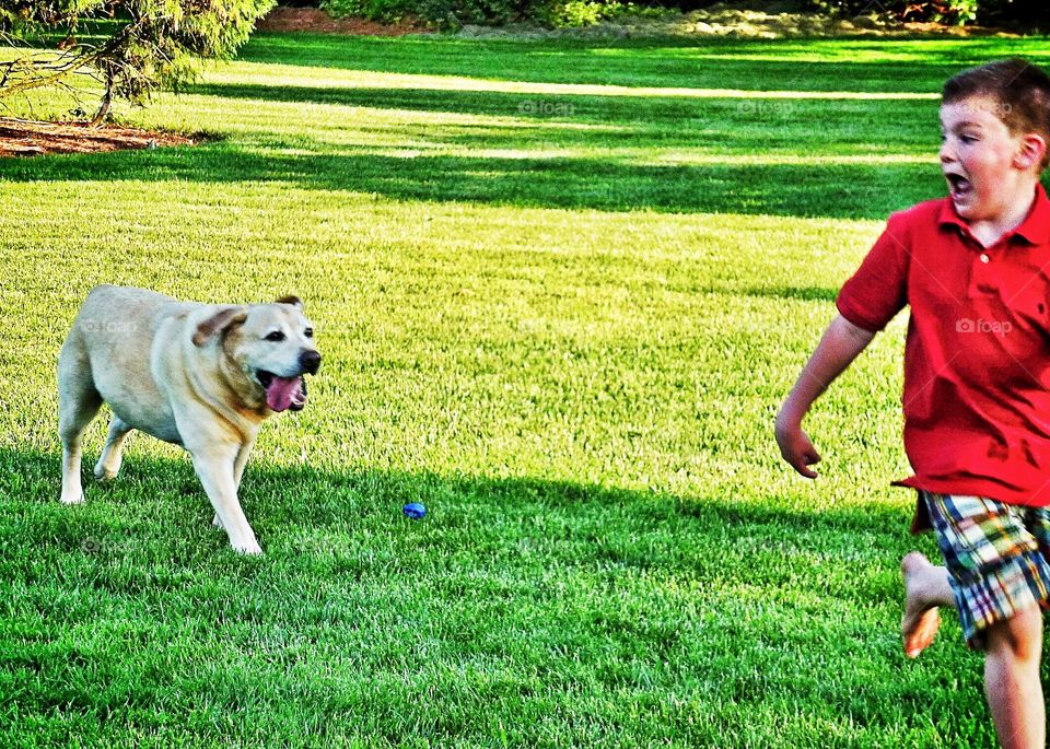A wild dog attacking a child LoL. Actually a happy dog playing with a wild boy