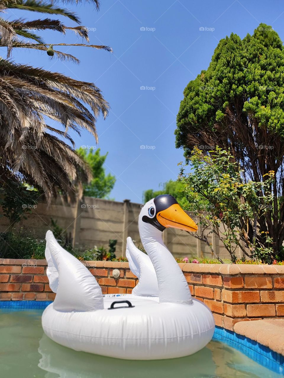 Inflatable Pool Float, Swan
