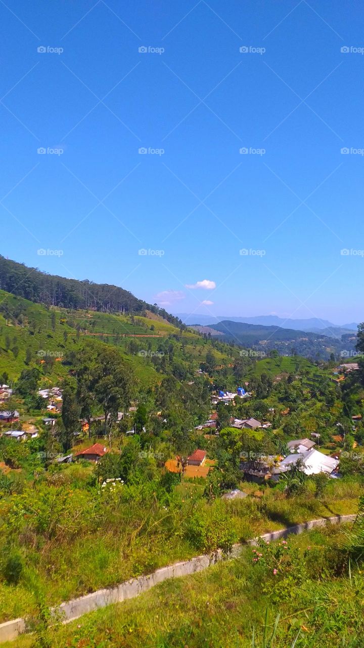 Greeny mountains with houses