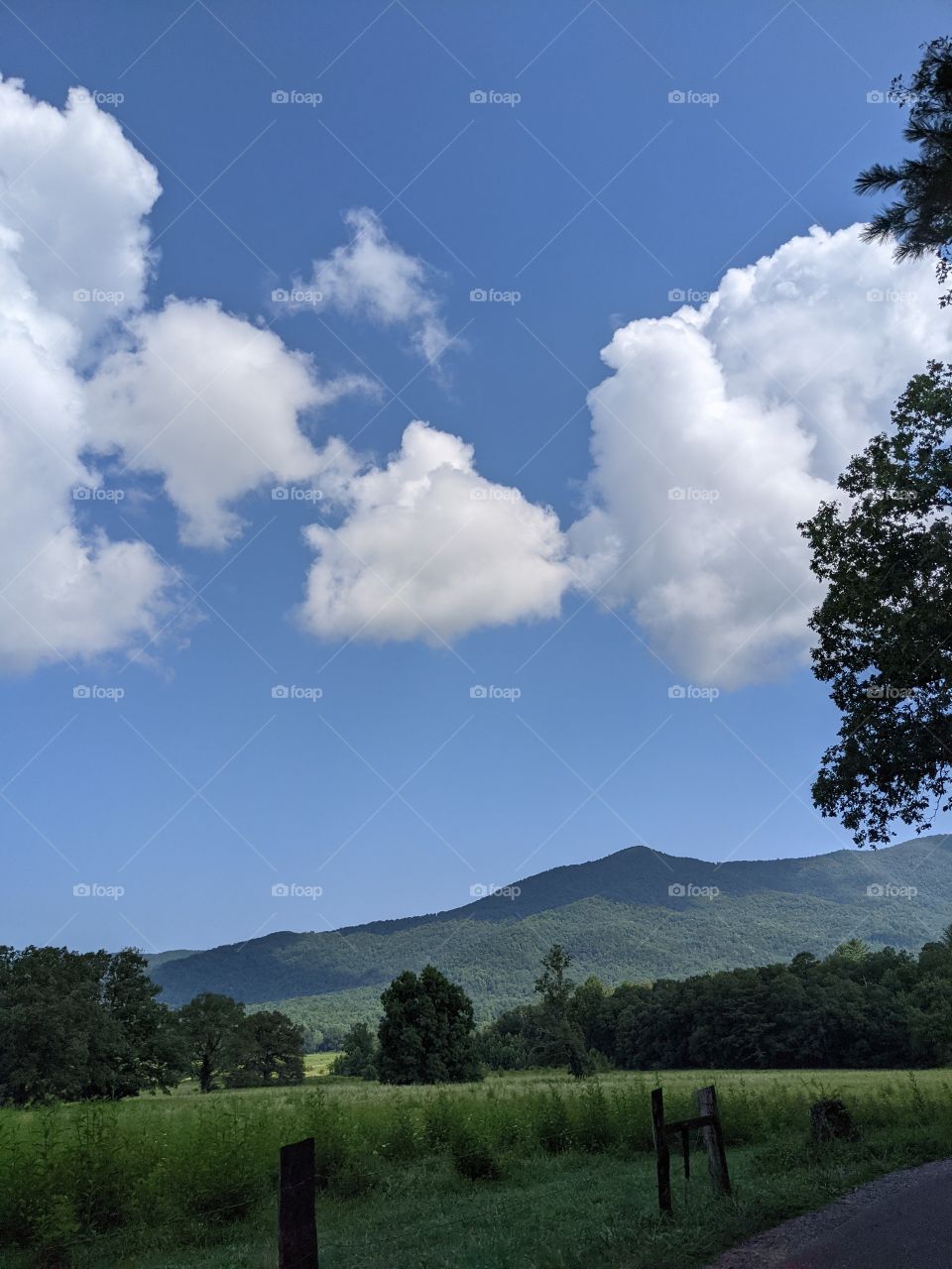 mountains in cades cove