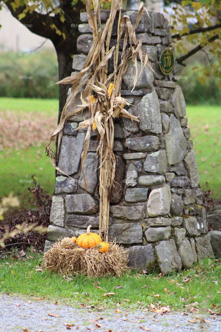 Halloween Decorations Driveway