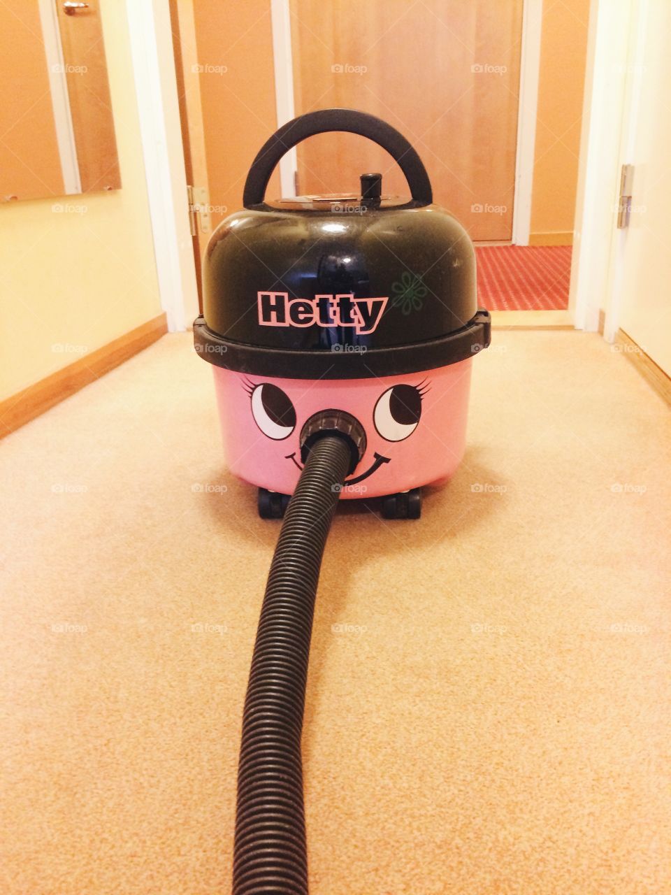 Hetty 