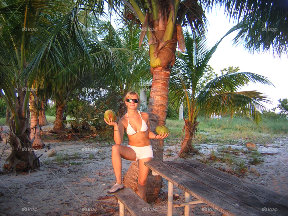 beach coconut island florida by izabela.cib