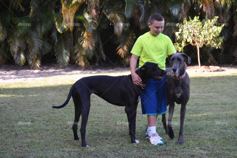 Boy and his pups