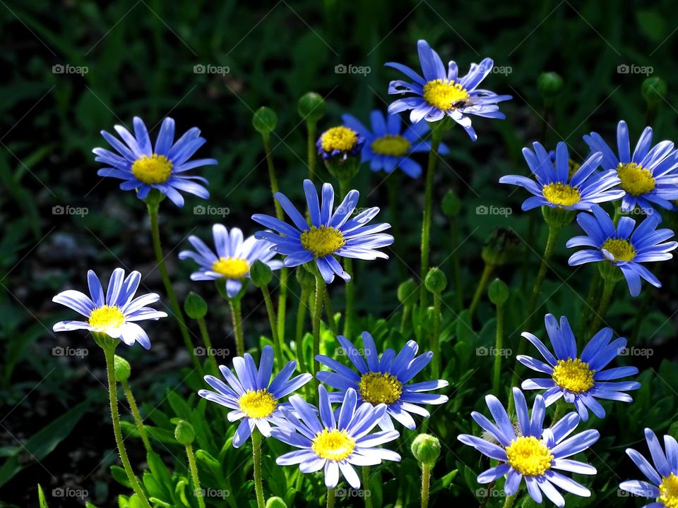 Life with colors is much better.