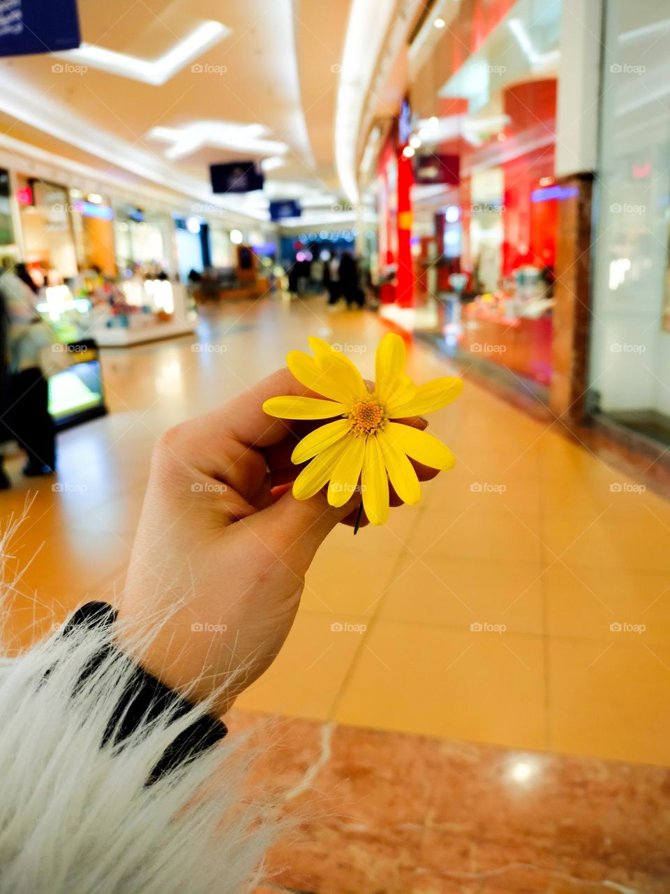 great trip with flower