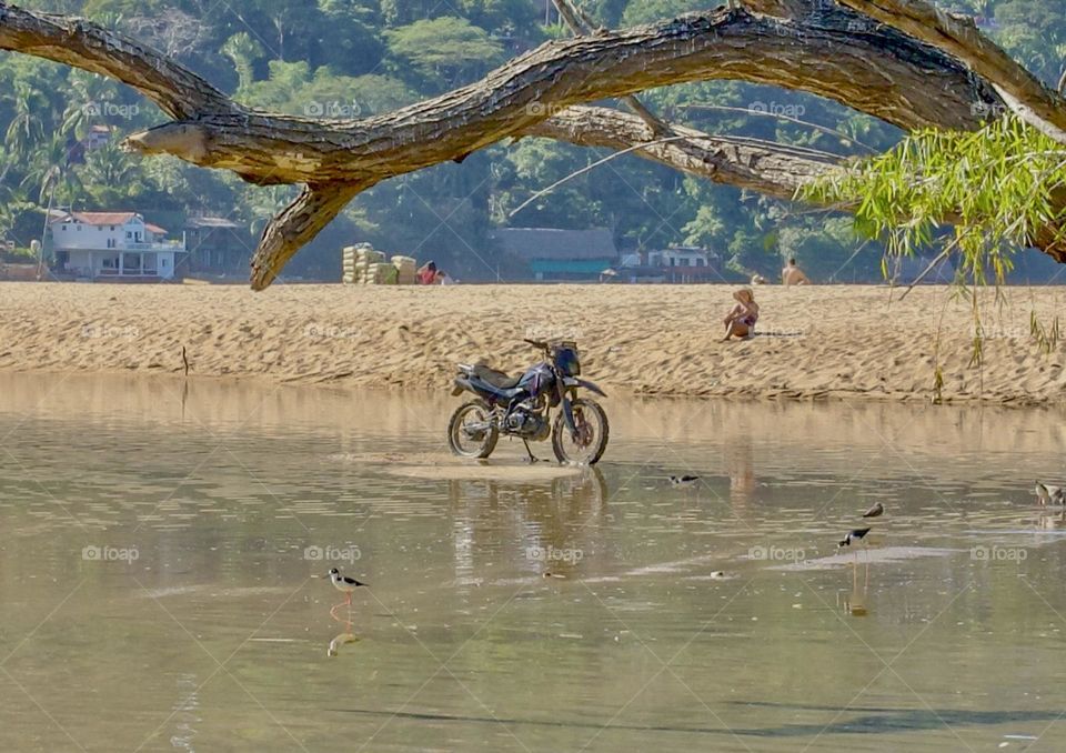 A motorcycle parked in the river framed by a tree branch.