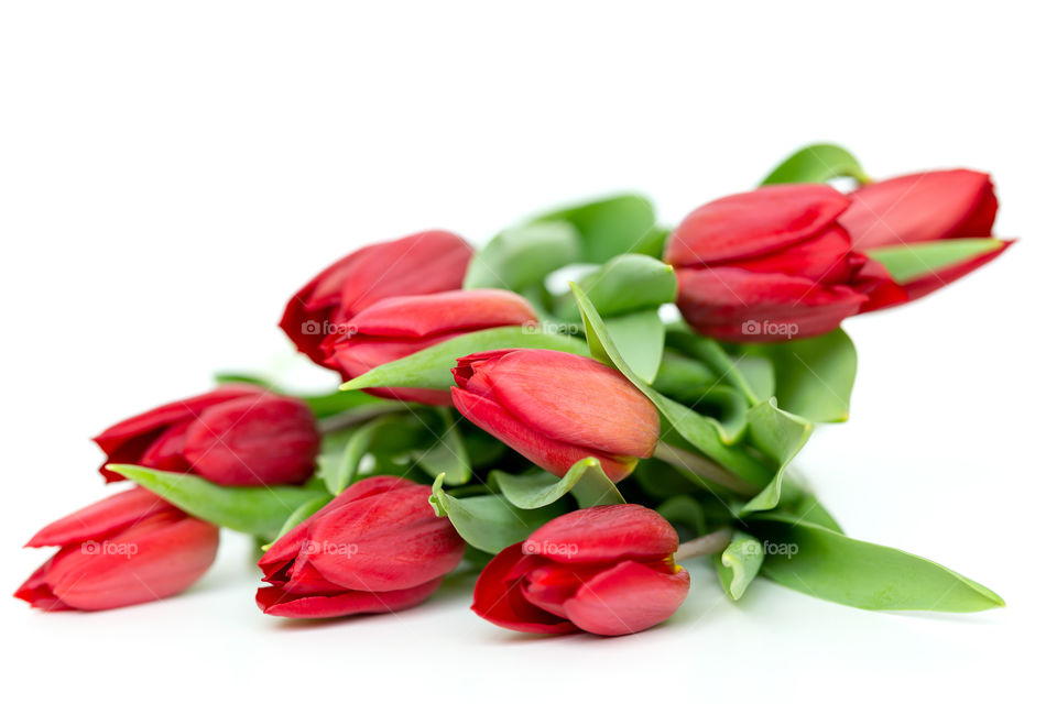 Red tulips bouquet