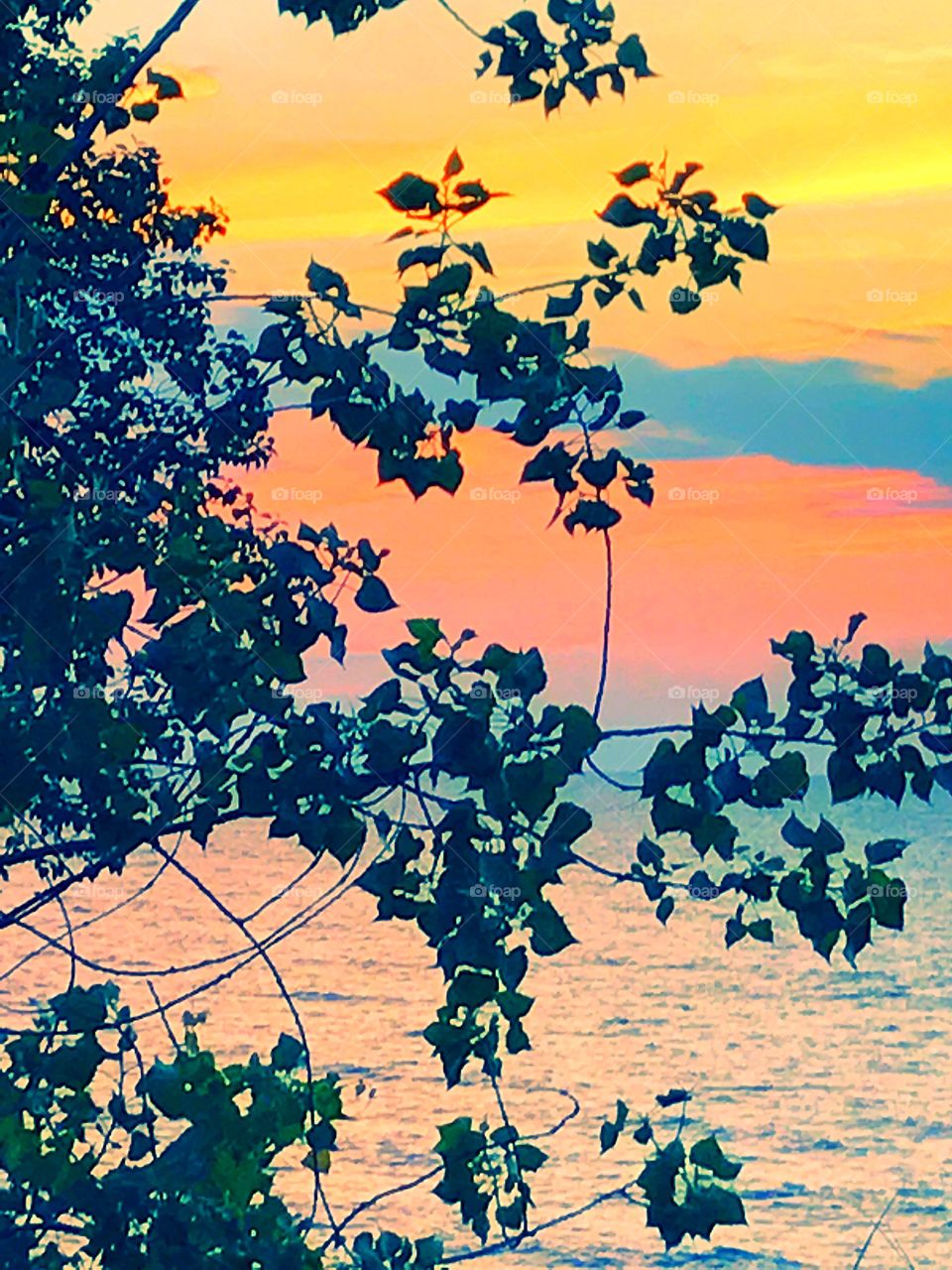 Lake Michigan sunset 
