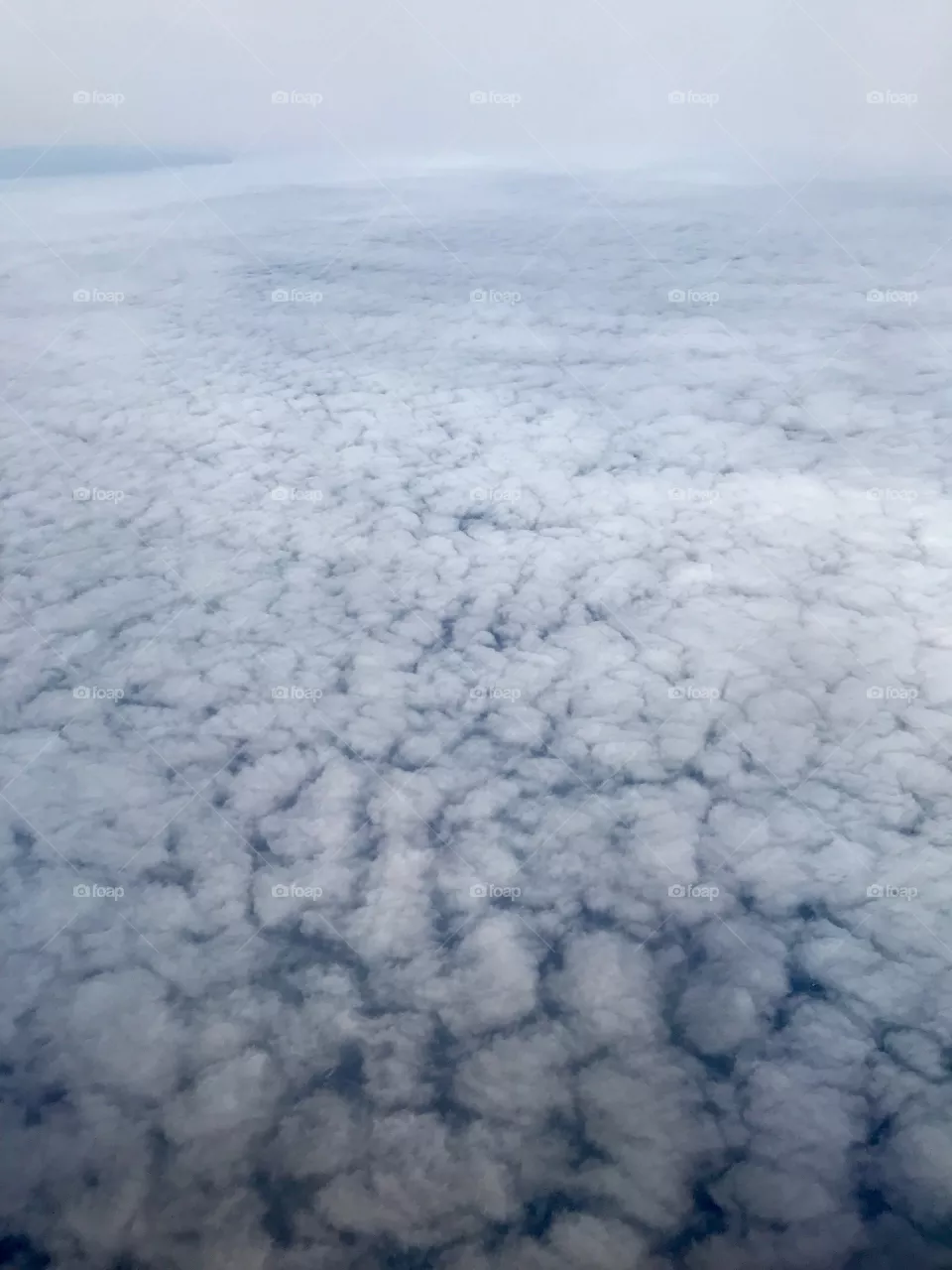 Flying high 