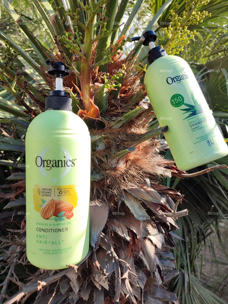 Organis Daily Care 2-in-1, Shampoo and Conditioner