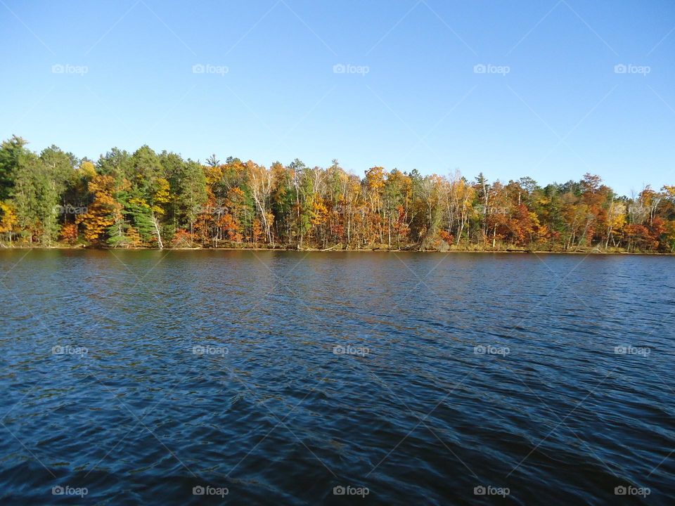 Lakeshore in the fall