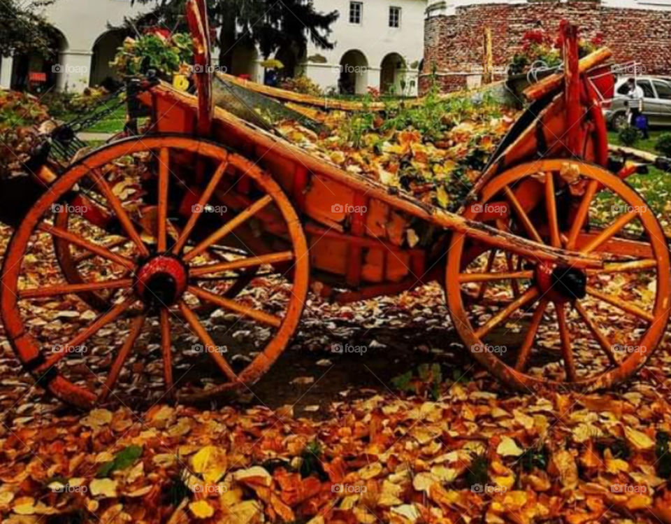 an old wooden carriage, fallen leaves and beautiful autumn colors