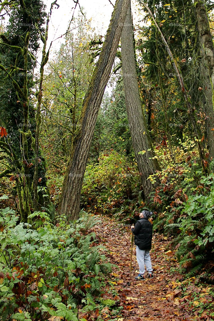 Flaming Geyser State Park