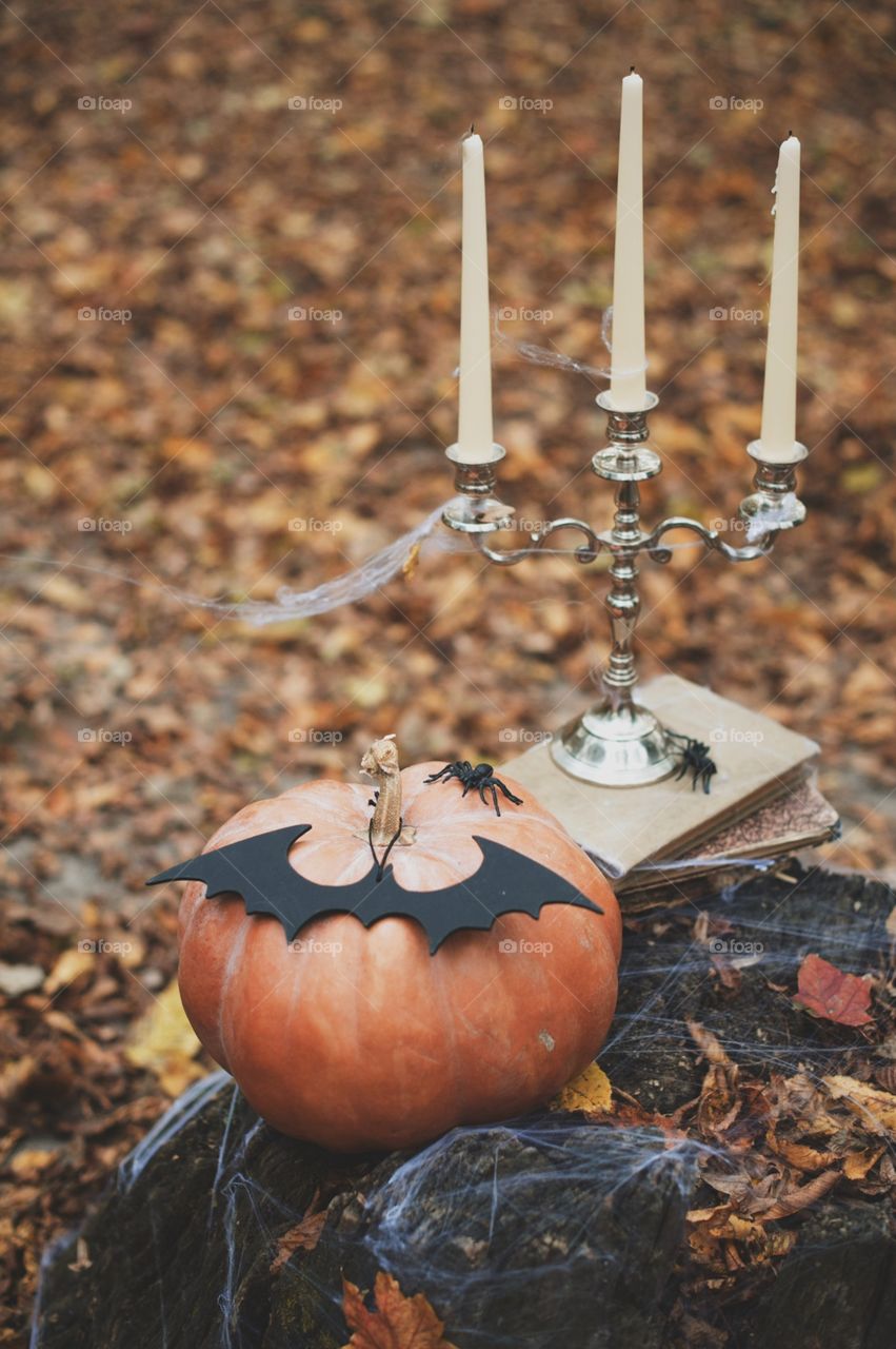 forest, night, holiday, decorations, snacks, fall, orange, black, mystery, Halloween, dark, glowing, candy, flashlight, ginger, fun, cute, fog, gloomy, burning, candle, flame, Jack, face, smile, autumn, symbol, skeleton, dark, above, scary, good, funny, background, lonely, sadness, darkness, magic, event, bat, Ghost, concept, trick, emblem, Phantom, pumpkin face, pumpkin, October, September, werewolf, mage, terrible, grim, supernatural, treat, trick or treat, horrible, wizard, Jack-lantern