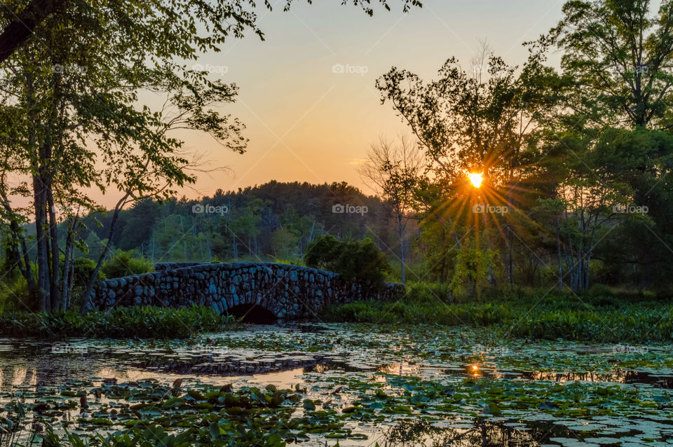 Sometimes you have to stop and appreciate What’s around you