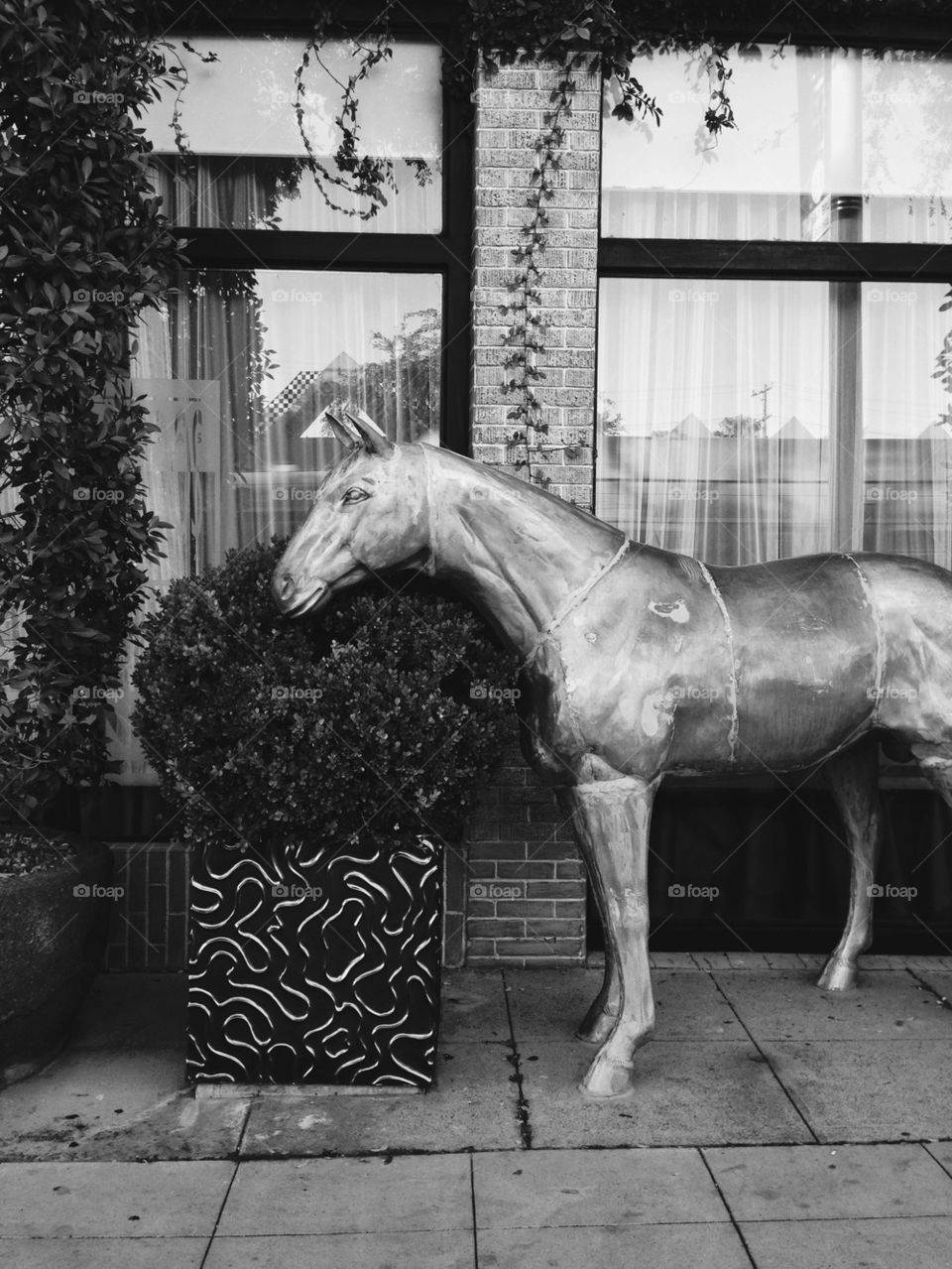 WILD HORSE STATUE